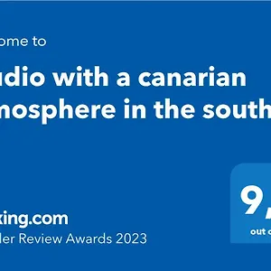 https://studio-with-a-canarian-atmosphere-in-the-south.in-canary-islands.com